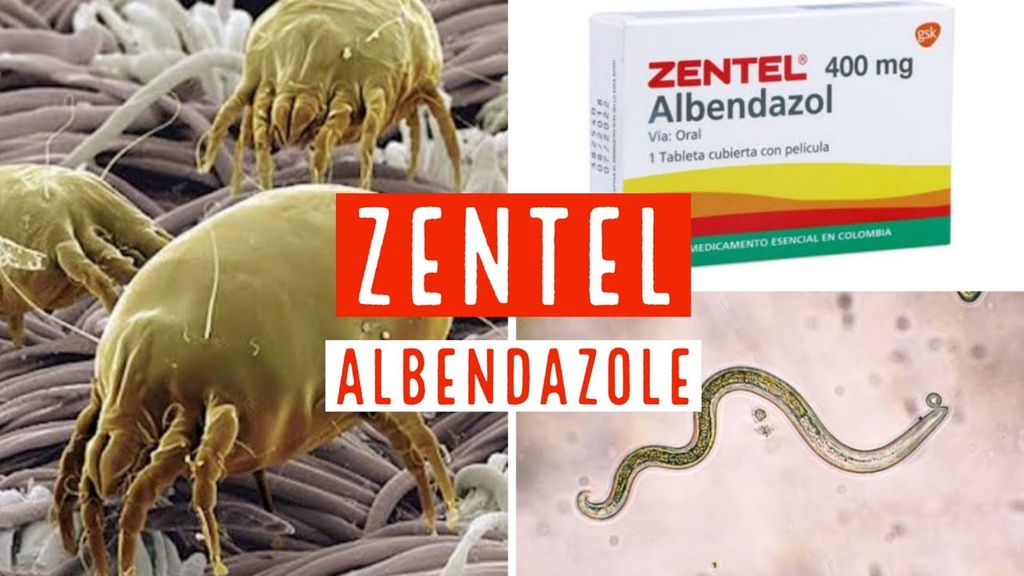 ZENTEL - Tabletas caja x 50 - 400 mg