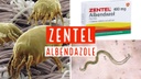 ZENTEL - Tabletas caja x 50 - 400 mg