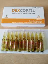 DEXCORTIL - Solucion inyectable ampolla via I.A. - I.V. - I.M. caja x 10 - 4 mg / 2 mL