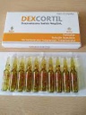 DEXCORTIL - Solucion inyectable ampolla via I.A. - I.V. - I.M. caja x 10 - 4 mg / 2 mL