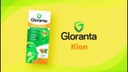 GLORANTA - Caramelos para chupar - SABOR JENGIBRE - MENTA x 4