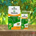 GLORANTA - Caramelos para chupar - SABOR JENGIBRE - MENTA x 4