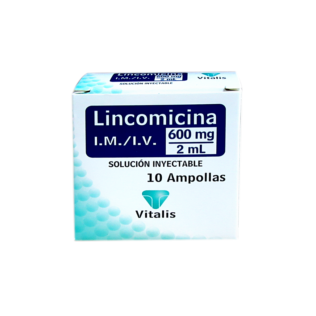 LINCOMICINA VITALIS - Solucion inyectable ampolla via I.M. - I.V. caja x 10 - 600 mg / 2 mL