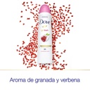 DOVE GO FRESH - Aerosol antitranspirante - 1/4 CREMA HUMECTANTE 48H - CON OLEO PROTECTOR - AROMA DE GRANADA Y VERBENA x 87 g / 150 mL