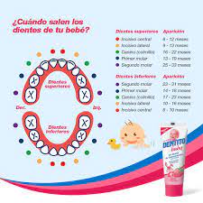 DENTITO BABY - Gel dental de entrenamiento sin fluor FRESA STRAWBERRY 60 mL