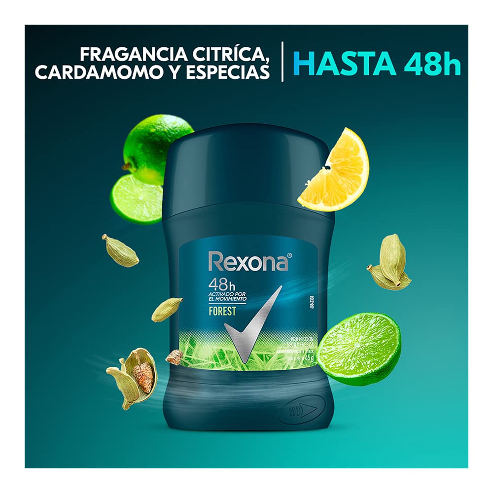 REXONA MEN - Antitranspirante stick FOREST - V8 48 HRS x 50 g