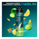 REXONA - Aerosol antitranspirante ACTIVADO POR EL MOVIMIENTO - FOREST 72 h x 89 g / 150 mL