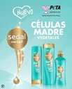 SEDAL - Shampoo con acondicionador CO - CREATIONS x 340 mL