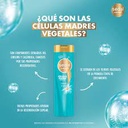 SEDAL - Shampoo con acondicionador CO - CREATIONS x 340 mL