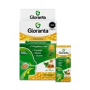 GLORANTA - Caramelos para chupar - SABOR MIEL - MENTA x 4