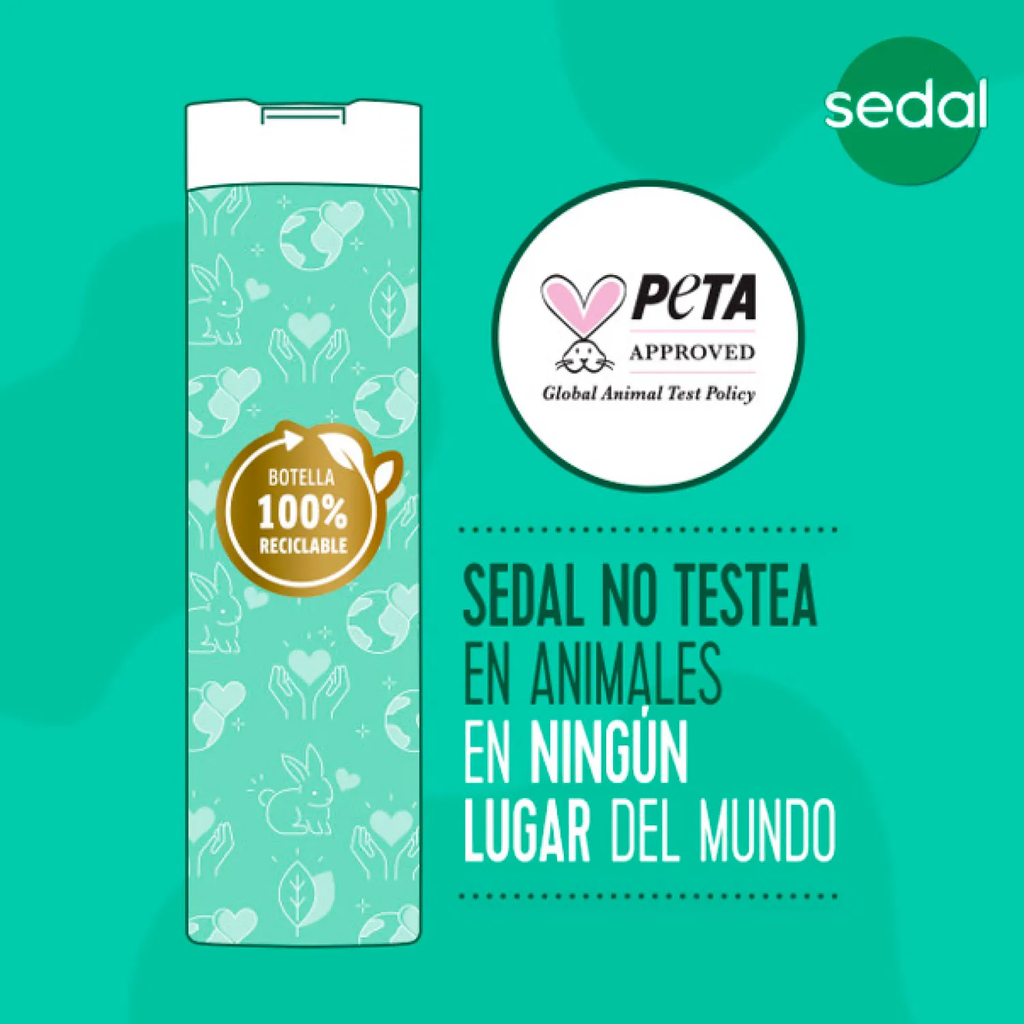 SEDAL - Shampoo con acondicionador CO - CREATIONS x 340 mL