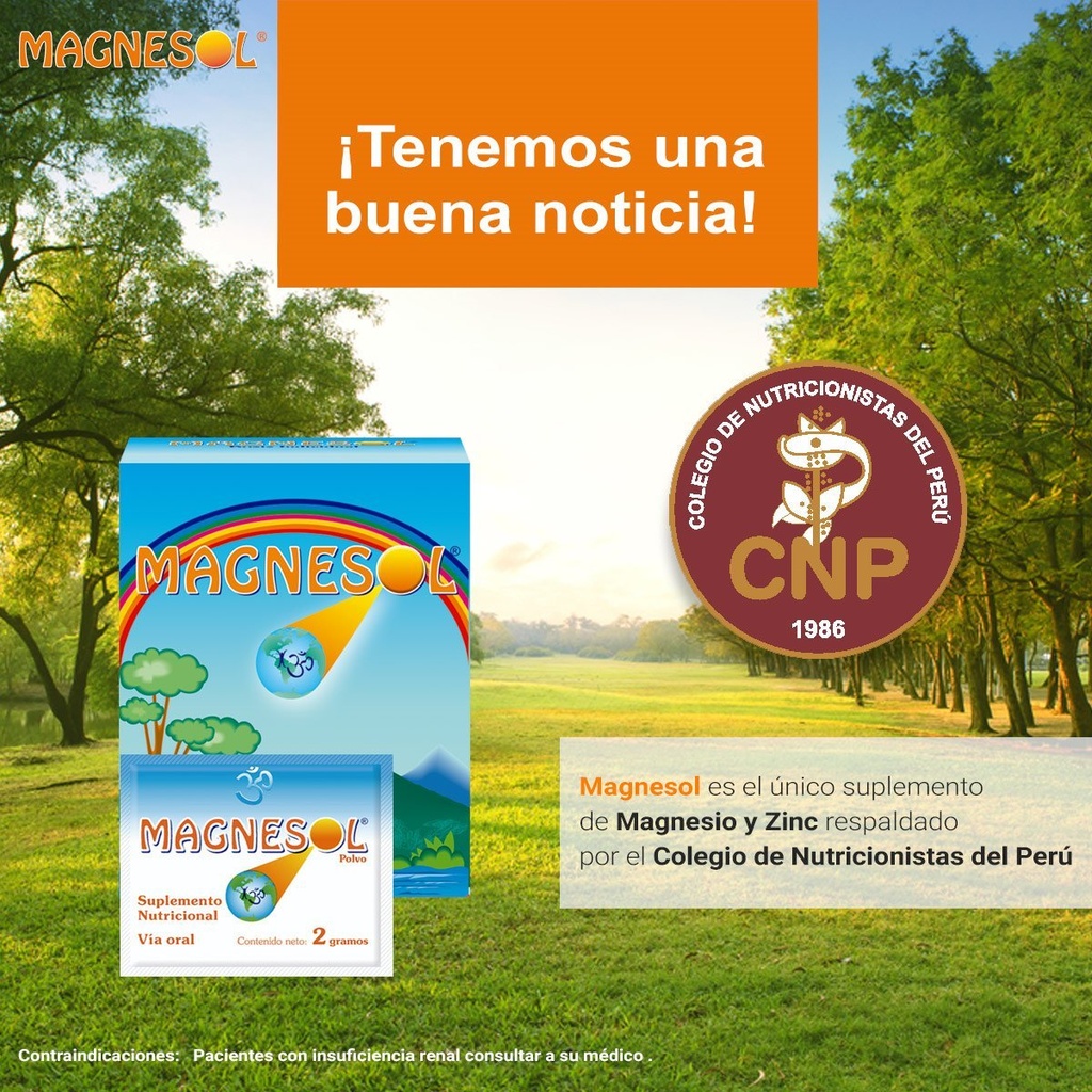 MAGNESOL - Efervescente x 33 sobres - 2 g