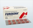 FUROXONA - Tabletas caja x 100 - 100 mg