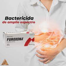 FUROXONA - Tabletas caja x 100 - 100 mg