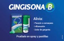 GINGISONA B - Solucion spray x 15 mL - 0.30 g