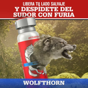 OLD SPICE - Desodorante corporal WOLFTHORN x 56 g / 93 mL