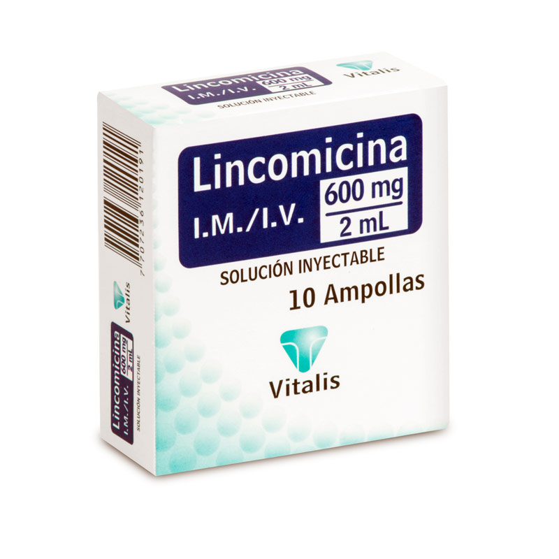 LINCOMICINA - Solucion inyectable ampolla via I.M. - I.V. caja x 6 - 600 mg / 2 mL (copiar)