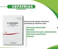 CEFATRIAX - Polvo para solucion inyectable via I.M. - I.V. x 10 viales - 1 g