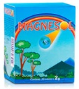 MAGNESOL - Efervescente caja x 33 sobres - 2 g