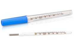 [TERMOMETRO ORAL LEVEL] TERMOMETRO ORAL LEVEL - Termometro LEVEL clinico oral HGEX 84200